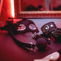 BDSM Communities and Events: Exploring Fifty Shades of Grey and its Themes